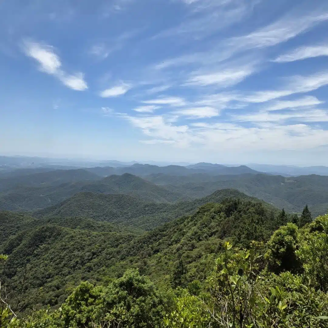 Foto real de Parque Nacional da Serra do Itajaí
