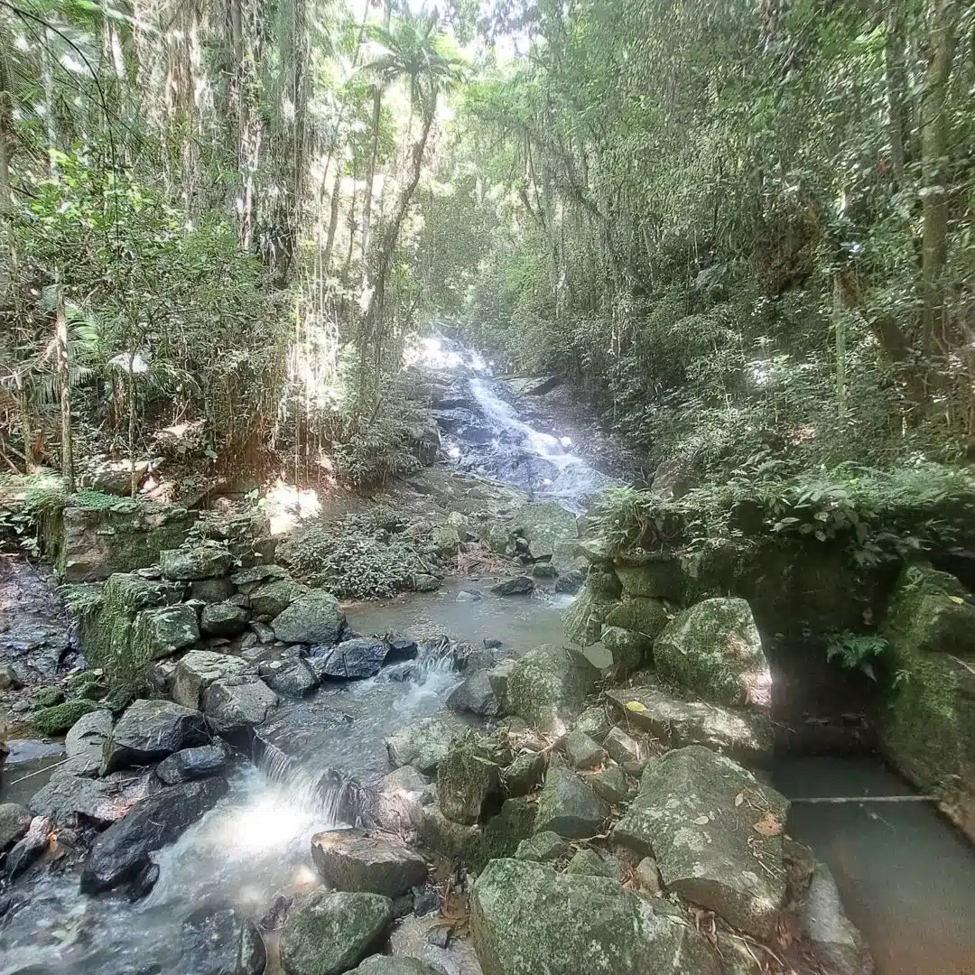 Foto real de Parque Natural Municipal do Retiro