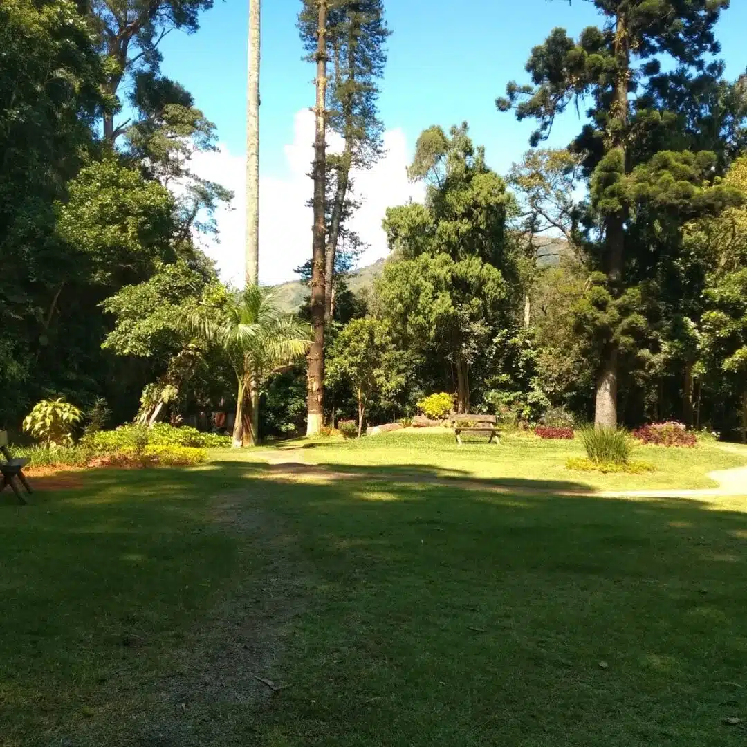 Foto real de Parque Natural Municipal de Petrópolis