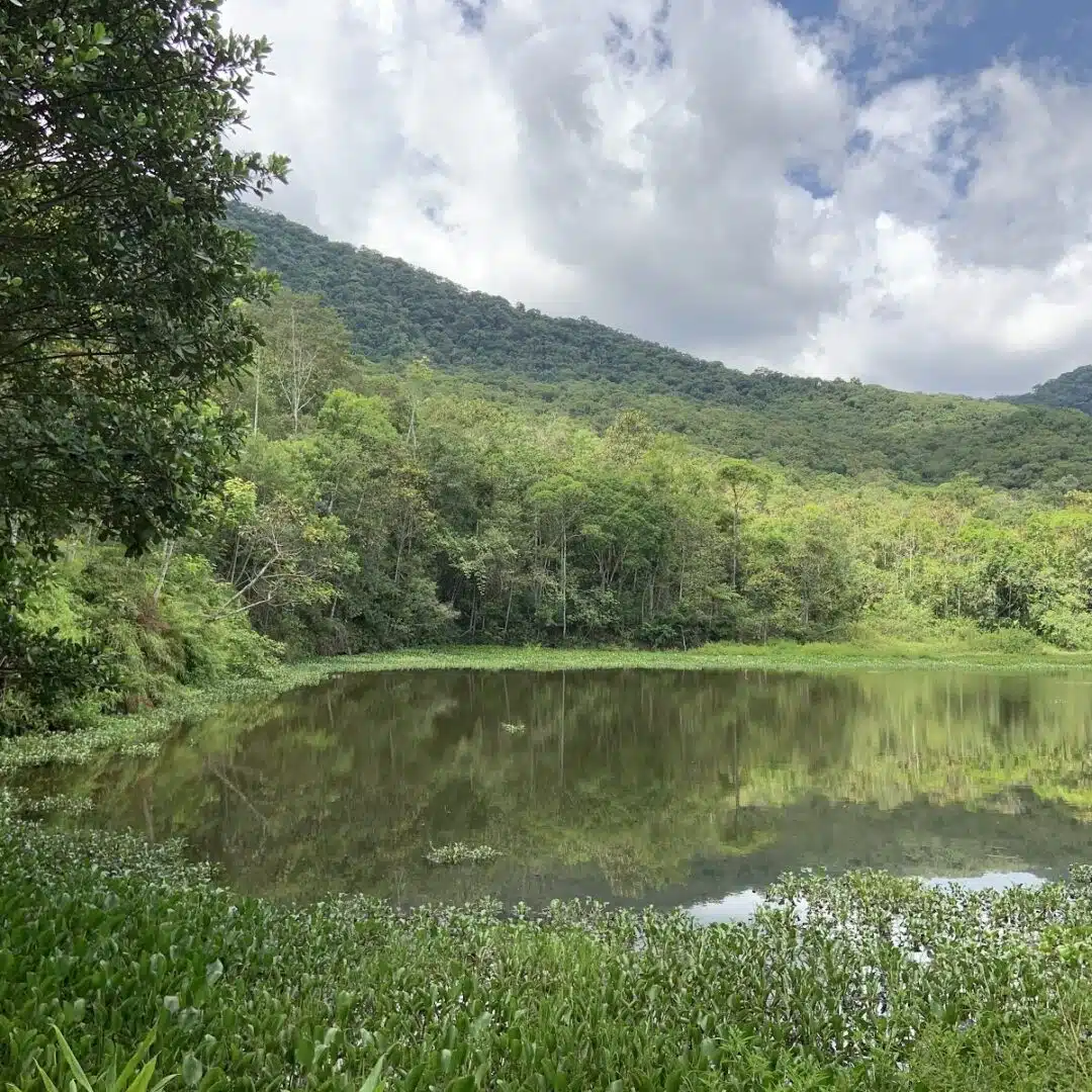 Foto real de Parque Natural Municipal das Nascentes do Garcia