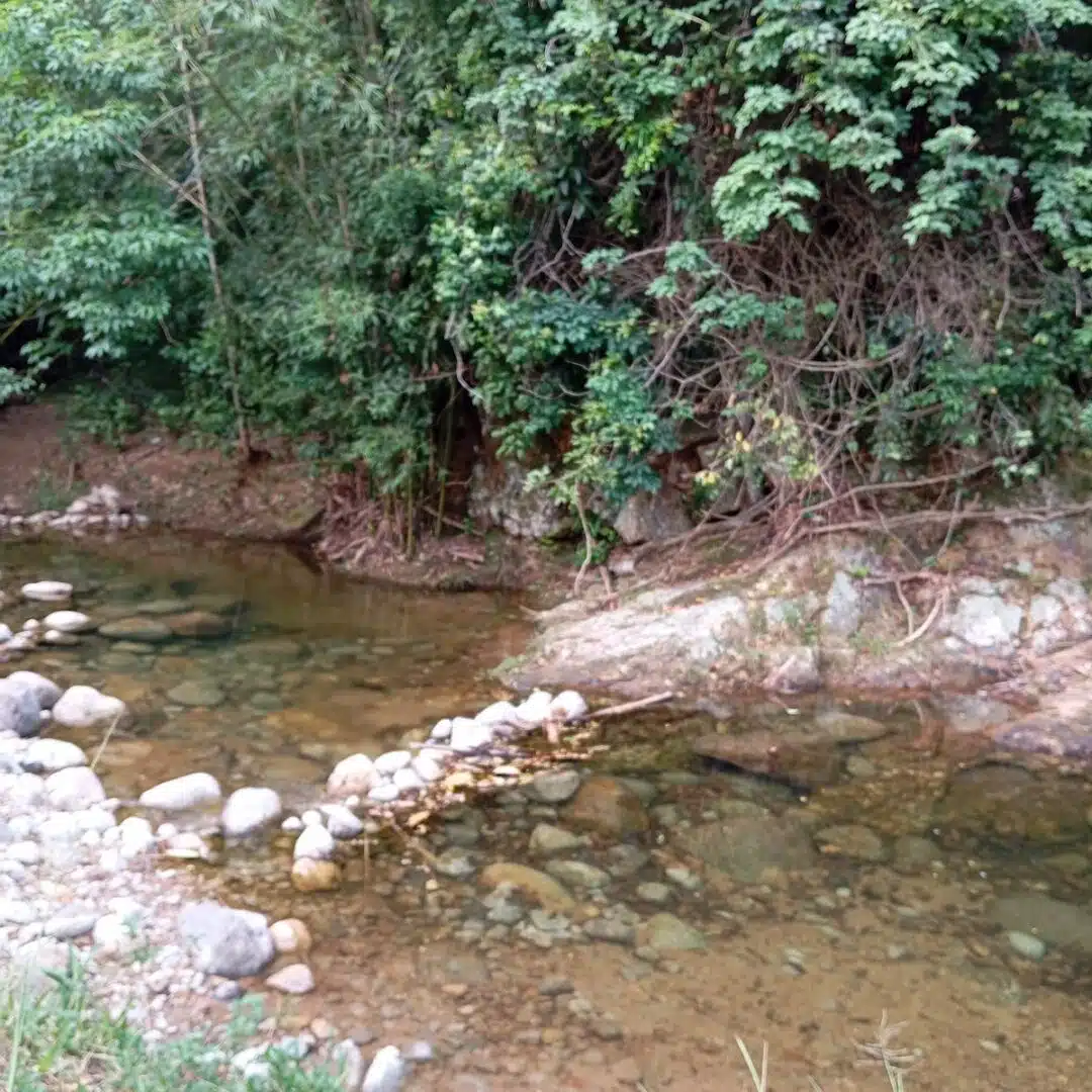 Foto real de Cachoeira do Poço do Ouro