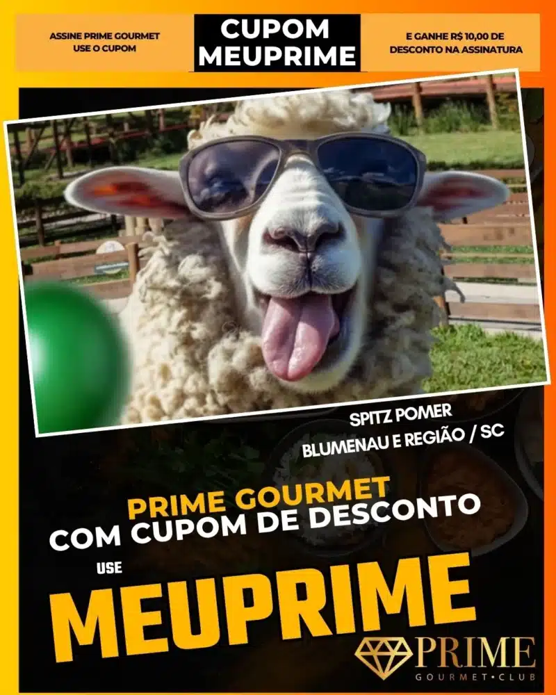 Ovelha usando óculos escuros em fazenda