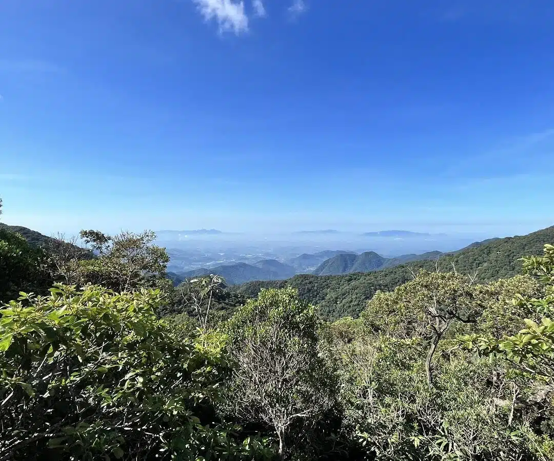 Foto real de Reserva Biológica do Tinguá