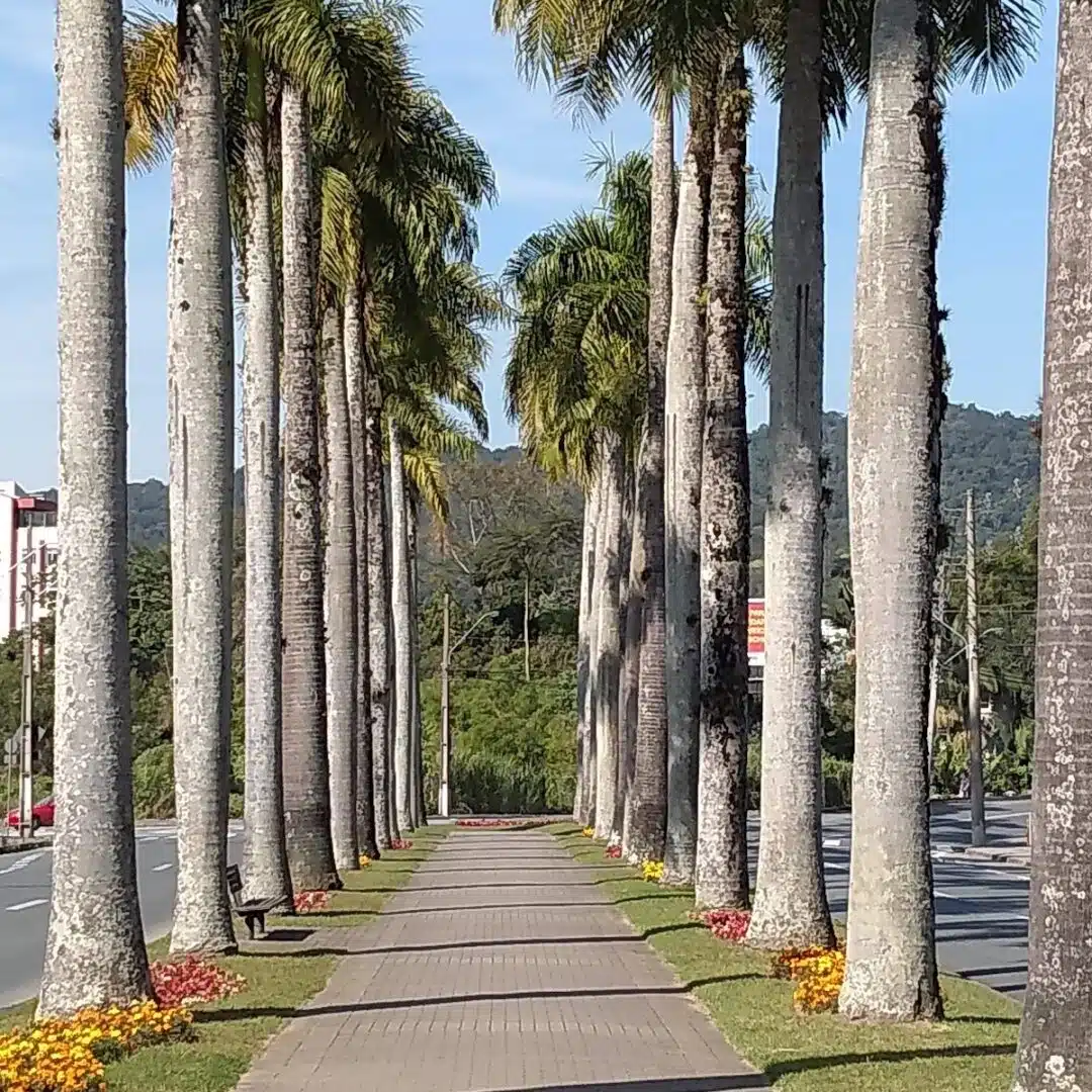 Foto real de Rua do Príncipe