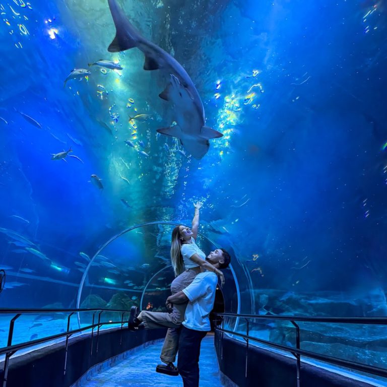 Foto real de AquaRio rio de janeiro