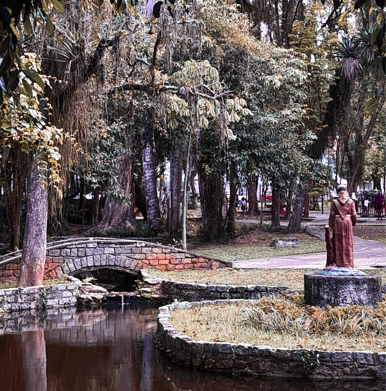 Foto real de Bosque da Princesa
