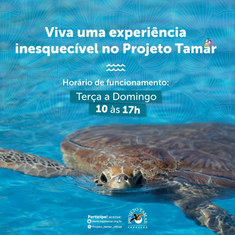 Foto real de Fundação Projeto Tamar - Aracaju Aracaju