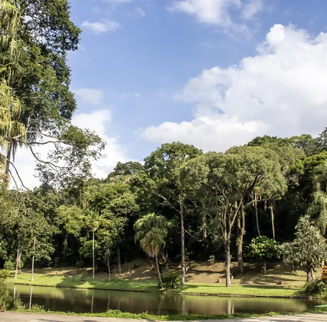Foto real de Jardim Botânico de São Paulo
