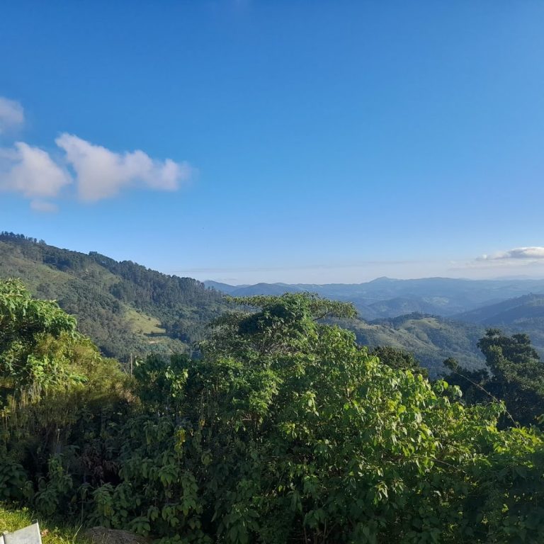 vida noturna Campos Jordão