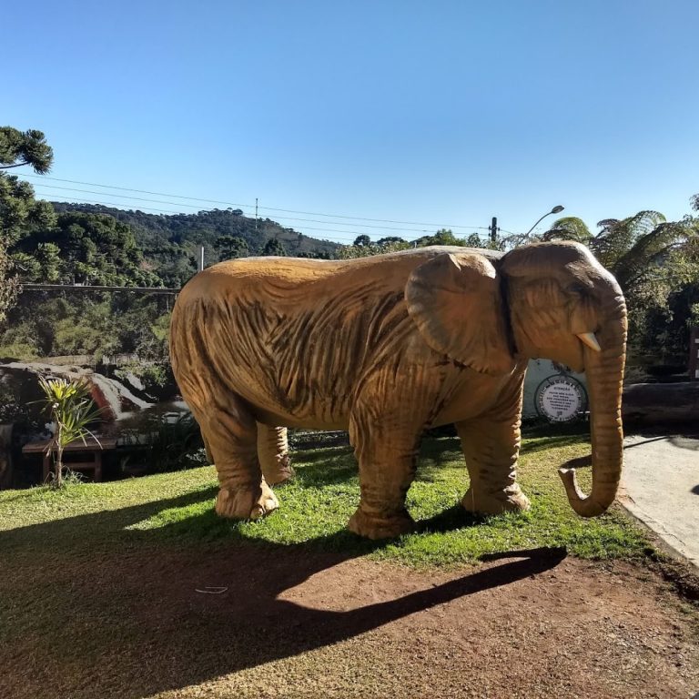 Foto real de Parque dos Elefantes