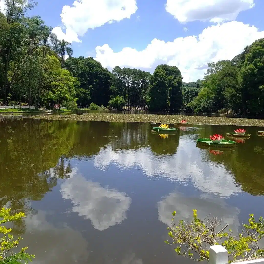Foto real de Parque Estadual Alberto Löfgren