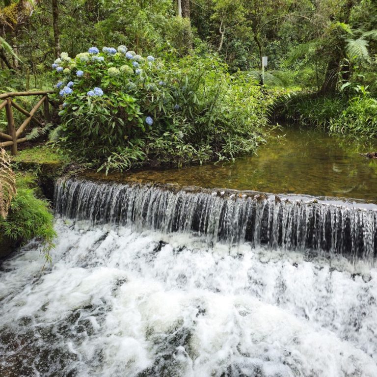 Campos do Jordão em julho