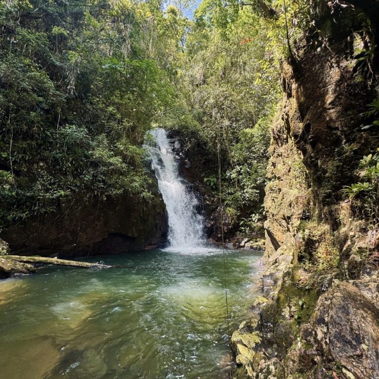 Foto real de Alto dos Macacos
