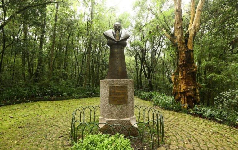 Foto real de Bosque Papa João Paulo II