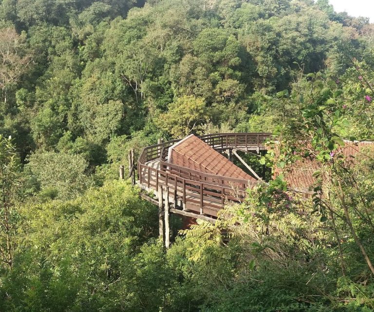 Foto real de Bosque Zaninelli I UNILIVRE