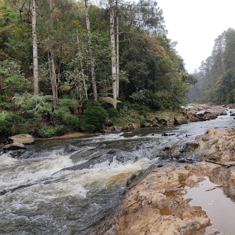 Foto real de Cachoeira do Jamil