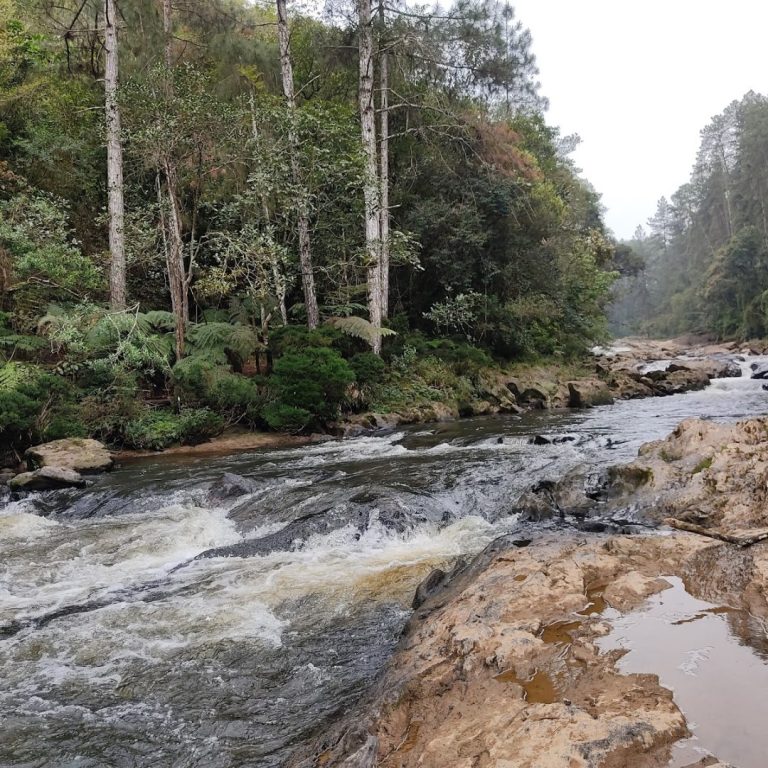 Cachoeira do Jamil Parelheiros