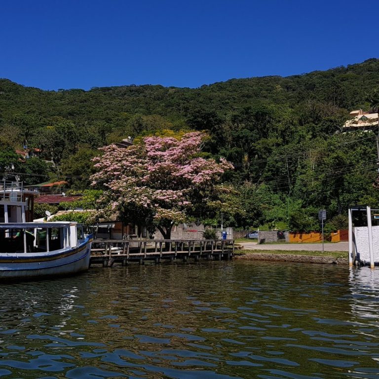 Foto real de Caminho da Costa da Lagoa ao Canto dos Araçás