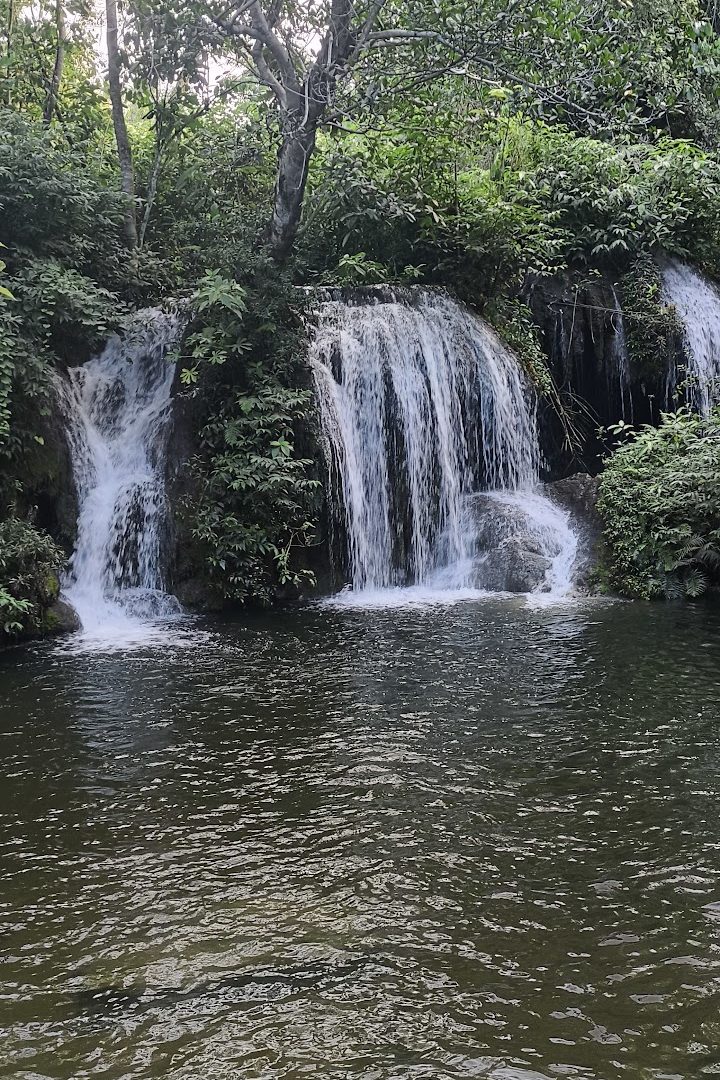 Foto real de Restaurante da Estância Mimosa