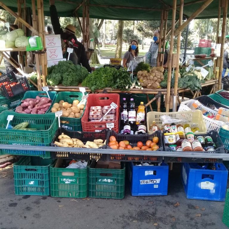 Foto real de Feira Orgânica - Passeio Público