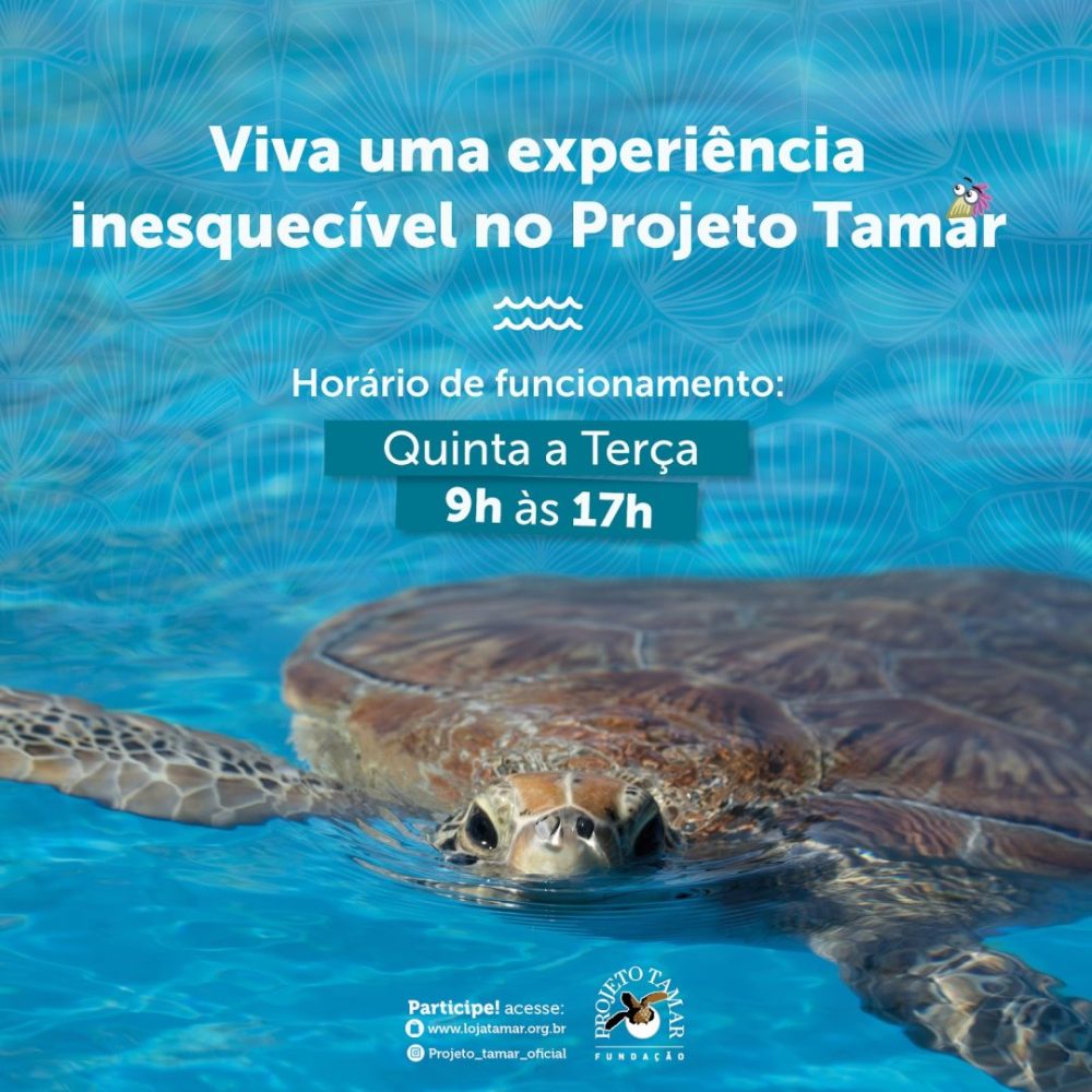 Foto real de Fundação Projeto Tamar - Ubatuba
