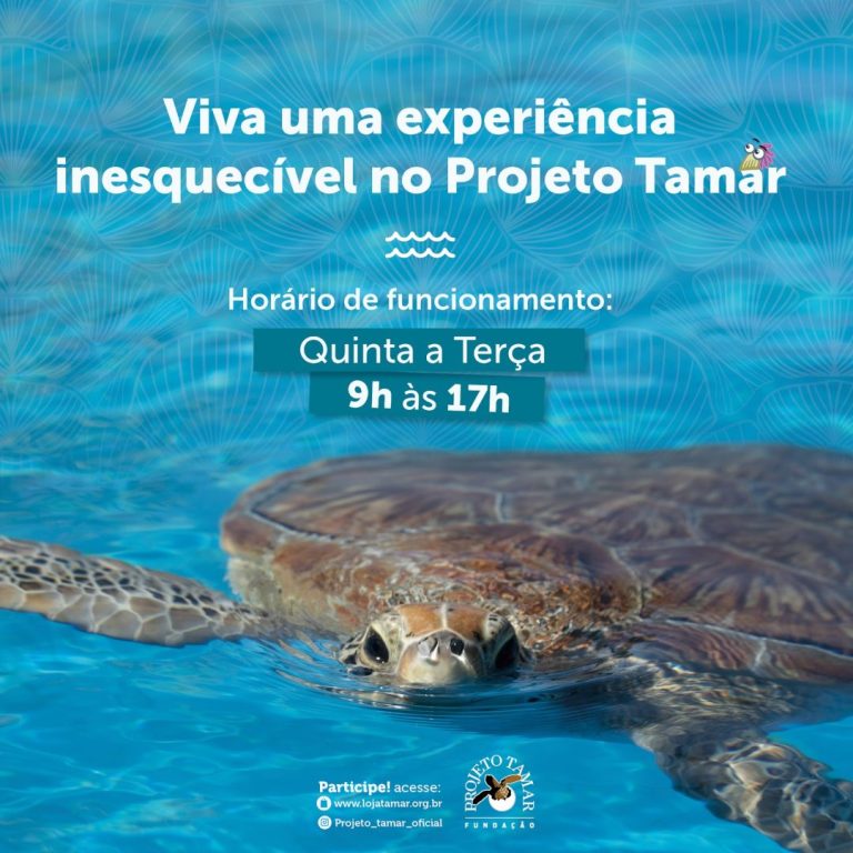cupom prime gourmet ubatuba