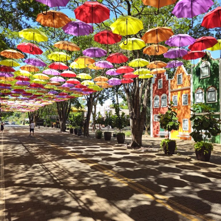 Foto real de Guarda-chuvas de Holambra Holambra