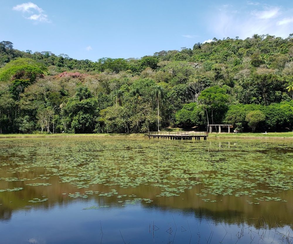 Foto real de Jardim Botânico da UFJF