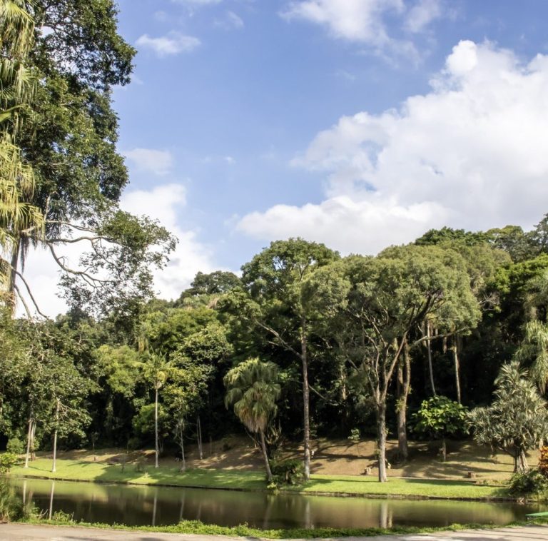Jardim Botânico de São Paulo
