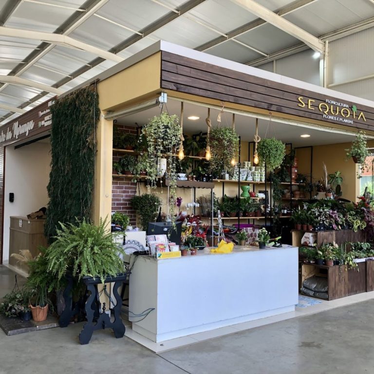 Foto real de Mercado Público Municipal Osvaldo Uncini - Lages SC Lages