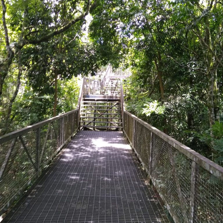 Foto real de Mirante do Parque Passaúna