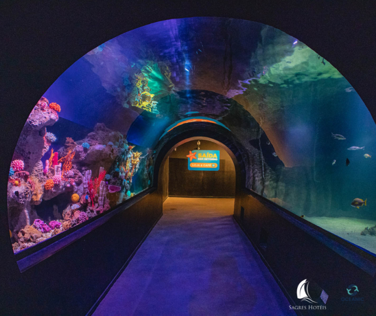 Foto real de Oceanic Aquarium