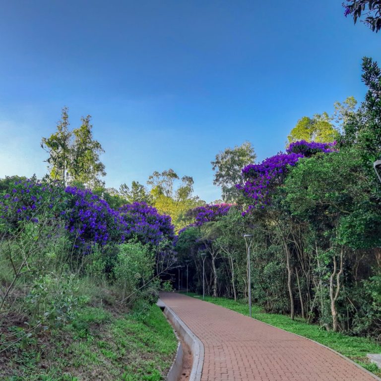 Foto real de Parcão de Novo Hamburgo