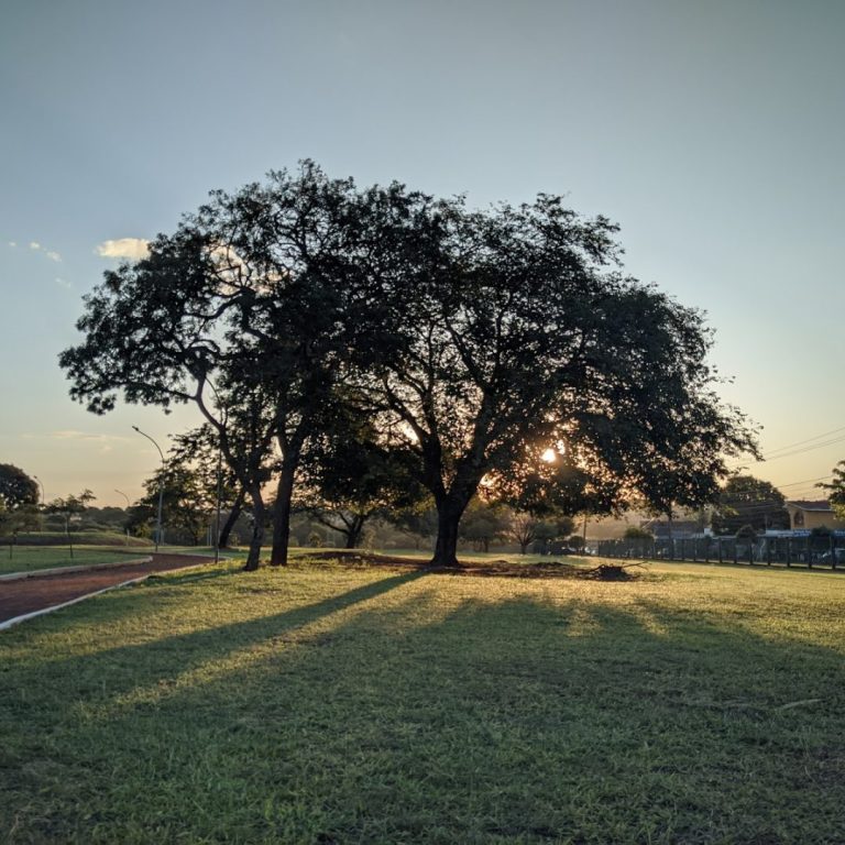 Foto real de Parque Ayrton Senna