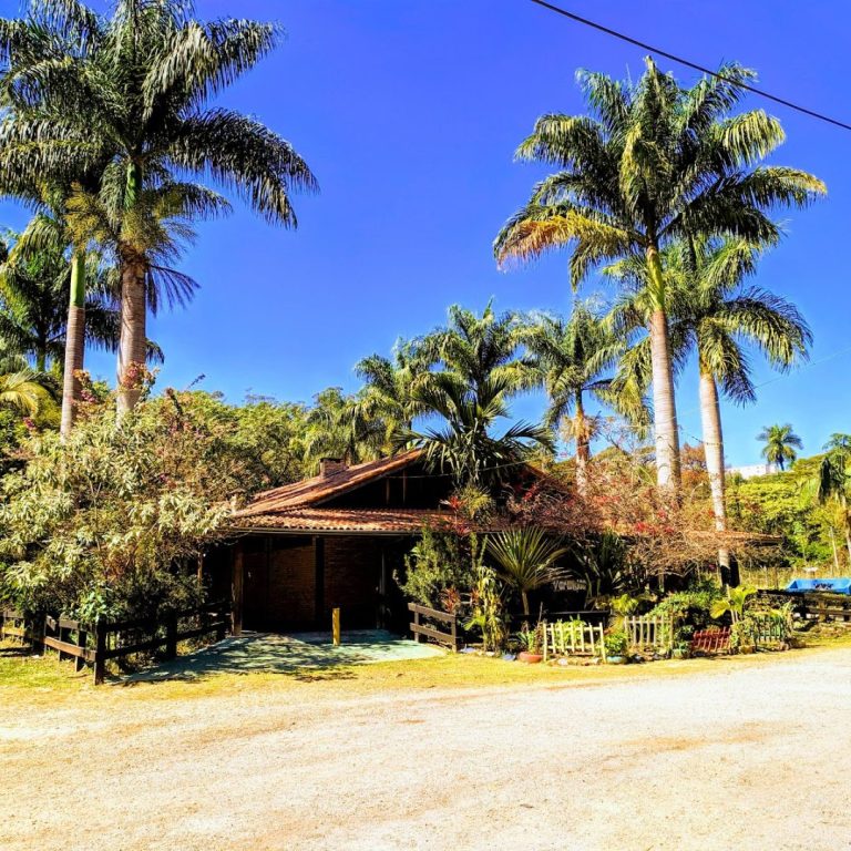 Foto real de Parque Chico Mendes