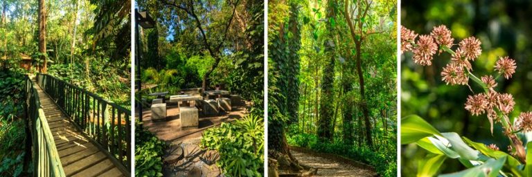 Parque Colina de São Francisco