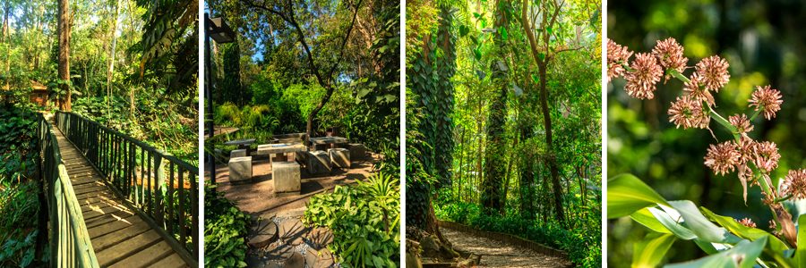 Foto real de Parque Colina de São Francisco