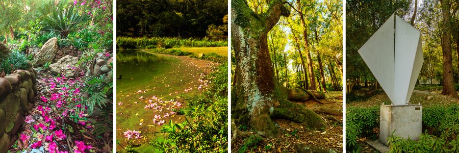 Foto real de Parque da Aclimação