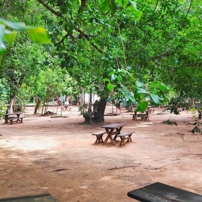Foto real de Parque das Dunas - Bosque dos Namorados