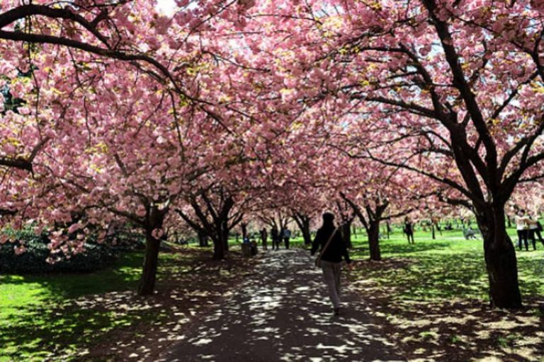 Foto real de Parque do Carmo – Olavo Egydio Setúbal