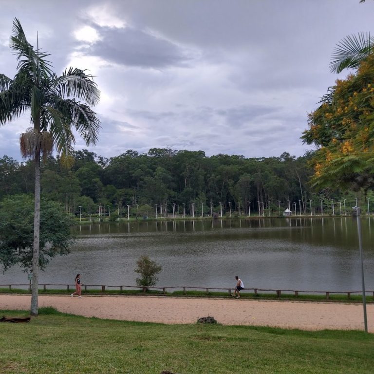 florada das cerejeiras Parque do Carmo
