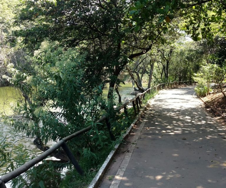Foto real de Parque Ecológico Dionísio Alvarez Mateos