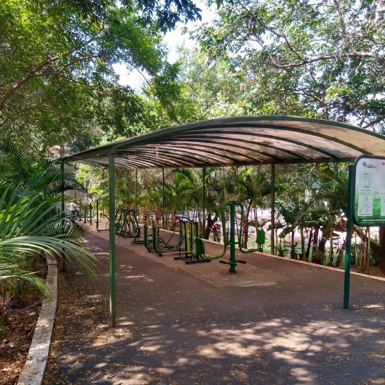 Foto real de Parque Ecológico Dionísio Alvarez Mateos