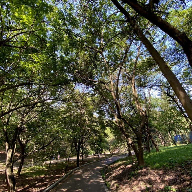 Parque Ecológico Dionísio Alvarez Mateos