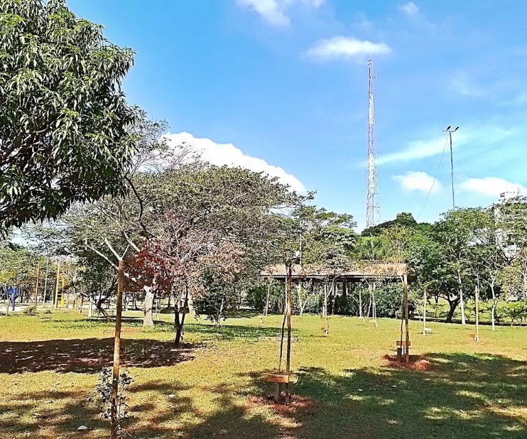 Foto real de Parque Ecológico Profª Lydia Natalizio Diogo - Vila Prudente