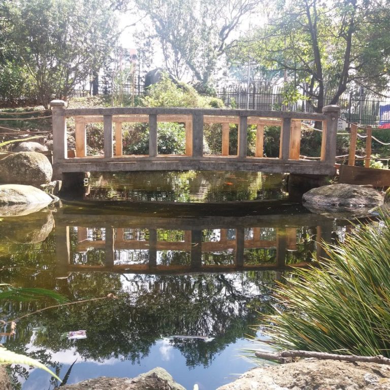 Foto real de Parque Ecológico Profª Lydia Natalizio Diogo - Vila Prudente