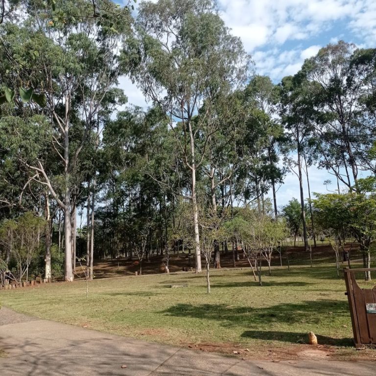 Parque Ecológico Profª Lydia Natalizio Diogo