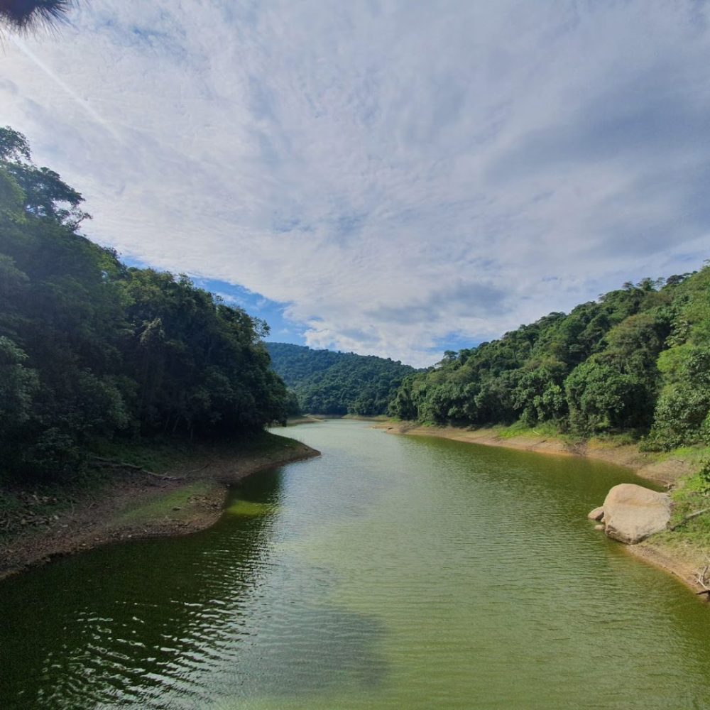 Foto real de Parque Estadual Cantareira - Núcleo Engordador