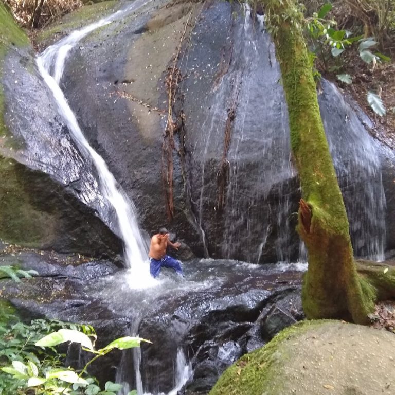 Foto real de Parque Estadual Cantareira - Núcleo Engordador