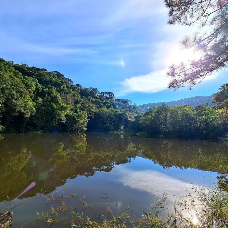 Foto real de Parque Estadual Cantareira - Núcleo Pedra Grande
